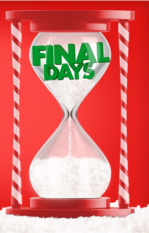 THE BIG CHRISTMAS COUNTDOWN FINAL DAYS Order gifts by 12/17/10 to get delivery by Christmas