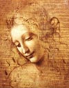 Female Head (La Scapigliata), c.1508