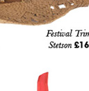 Festival-trim-stetson