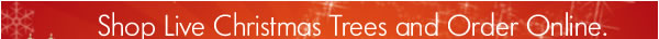Shop Live Christmas Trees and Order Online.