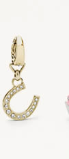Glitz Horseshoe Charm