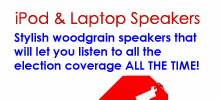 iPod & Laptop Speakers